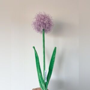 CJ Hendry Flower Shop bloom purple allium